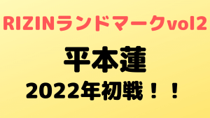 rizin landmark vol2