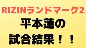 rizin landmark vol2 sokuho