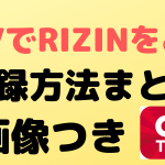 dtv rizin zukai