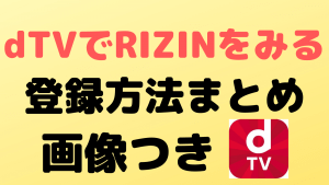 dtv rizin zukai