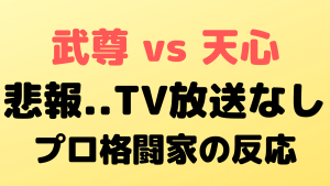thematch tv2
