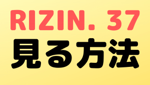 rizin37 view