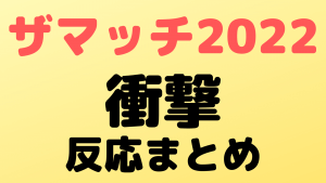 thematch2022 sokuho