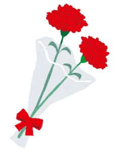 carnation hanataba