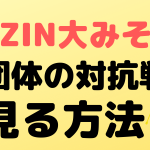 rizin40 view