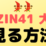 rizin41 view