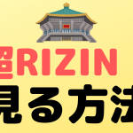 super rizin2 view