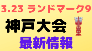 rizin landmark vol9