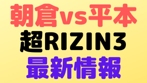 super rizin3 view