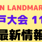 rizin landmark12